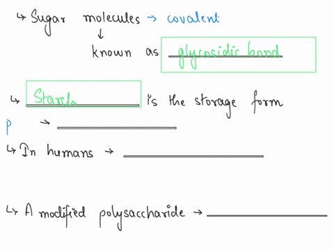 17-sugar-molecules-are-joined-by-type-of-covalent-bond-known-as-18-is-the-storage-form-of-glucose-found-in-plants-another-glucose-polymer-found-in-plants-that-comprises-the-cell-wall-is-whic-60965