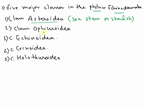 what-are-the-five-major-classes-in-the-phylum-echinodermata-what-is-unique-about-each-of-these-classes-32418