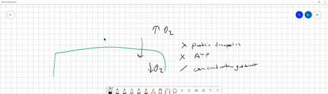 question-34-the-force-driving-simple-diffusion-is_-while-the-energy-source-for-active-transport-is-a-a-concentration-gradient-adp-b-a-concentration-gradient-atp-hydrolysis-ctransmembrane-pum-82042