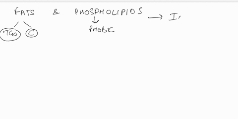 chapter-3-discusses-the-four-major-macromoecule-groups-lets-see-the-molecules-in-action-and-analyze-their-characteristics-to-see-why-they-are-able-to-assume-a-certain-rolelipoproteins-are-fo-30266