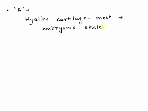 art-based-question-bone-tissue-question-2-what-material-makes-up-most-of-the-structure-at-a-fibrocarilage-dense-irregular-connective-lissue-hyaline-cartilage-elastic-carlilage-submit-request-33239
