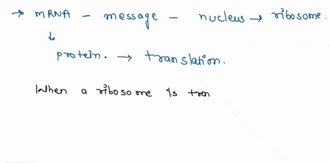 what-tells-the-ribosome-where-to-start-translation-and-stop-translation-73017