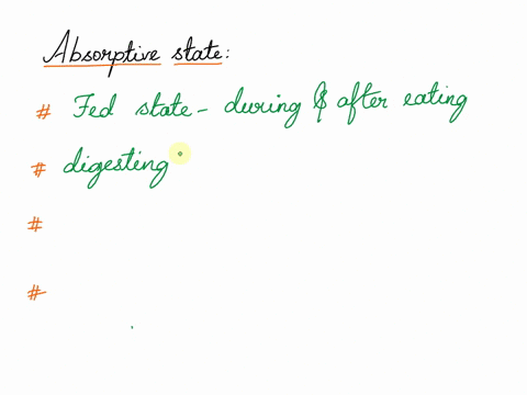 when-does-the-absorptive-state-occur-04018