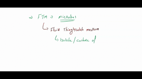24-using-proper-term-name-the-type-of-microbes-growing-in-ftm-38336