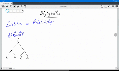 which-statements-describe-ways-in-which-scientists-use-phylogenetic-trees-understand-which-populations-make-up-clade-determine-the-evolutionary-history-of-members-in-family-to-determine-the-83519