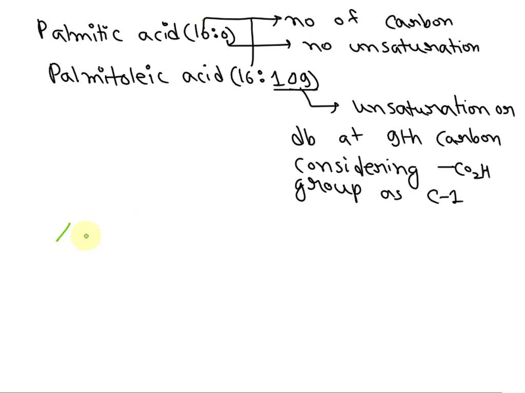 SOLVED Please draw the structures for palmitic acid (160) and