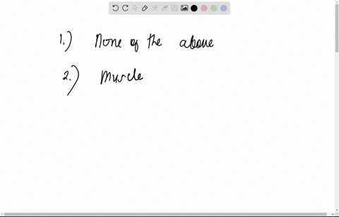 35-muscle-a-is-found-within-the-basement-membrane-is-dead-throughout-life-c-is-only-partially-vascularized-d-and-b-are-both-correct-none-of-the-above-36-visible-striations-are-characteristic-16543