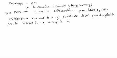figure-4-mitchell-sets-sail-for-the-chemiosmotic-nev-world-despite-dire-warnings-that-he-will-be-consumed-what-does-this-cartoon-convey-about-the-nature-f-scientific-discovery-source-courtes-37292