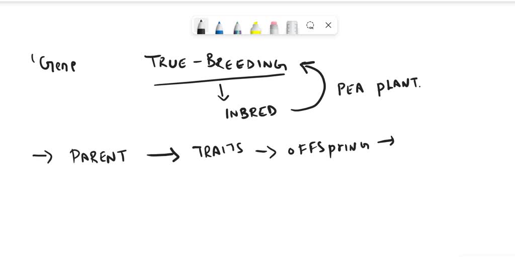 solved-when-mendel-s-true-breeding-smooth-pea-variety-was-allowed-to