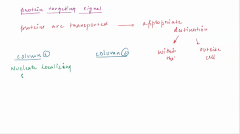 list-allof-the-different-protein-targeting-signals-that-were-covered-in-this-section-of-the-course-column-1-then-list-where-the-targeting-signal-sends-protein-to-column-2-for-example-column-60507