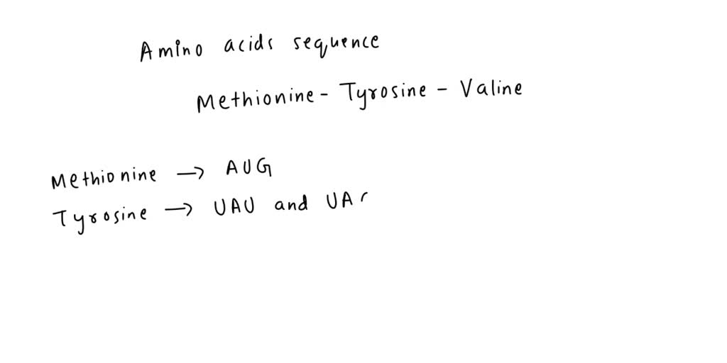 SOLVED Use the following table to write the codon for the amino acid