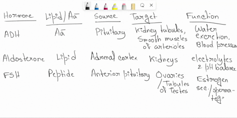 a-hormone-is-a-signaling-molecules-produced-by-glands-in-multicellular-organisms-that-are-transported-by-the-circulatory-system-to-target-distant-organs-to-regulate-physiology-and-behavior-f-28155