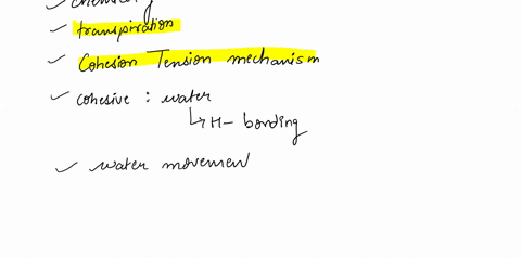 question-1-the-movement-of-water-through-vascular-plants-is-important-to-their-survival-explain-the-mechanism-of-water-movement-through-vascular-plants-during-transpiration-include-a-discuss-56357