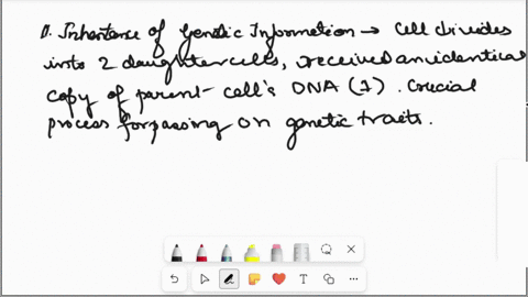 what-is-the-importance-of-dna-replication-to-dnas-function-of-storing-genetic-information-10089