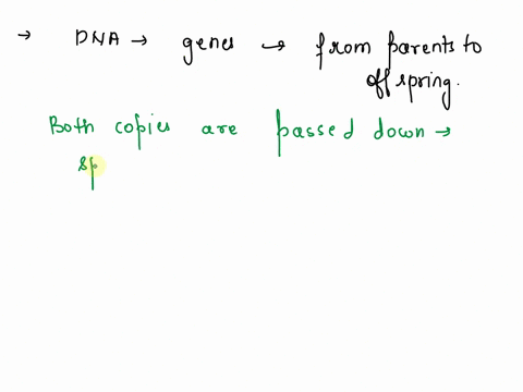 explain-how-dna-is-organized-into-genes-and-how-these-genes-are-transferred-from-parents-to-offspring-97606