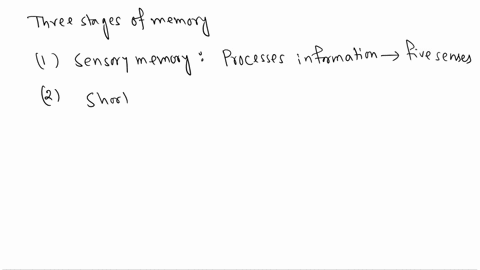 what-happens-in-each-of-the-three-main-stages-or-processes-of-memory-36187