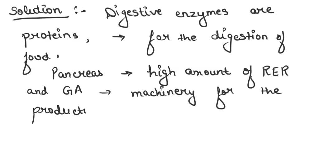 SOLVED Explain why it is useful for the pancreas cells that secrete digestive enzymes to have