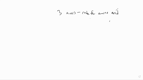 a-mutation-removes-a-single-nucleotide-from-the-middle-of-the-coding-region-of-a-gene-gene-is-1-nucleotide-shorter-how-will-this-mutation-most-likely-alter-the-protein-sequence-relative-to-t-30558