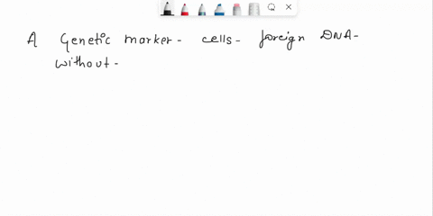 help-me-true-or-false-plz-know-what-your-doing-question-5-not-_-yet-answered-marked-out-of-100-flag-question-agenetic-marker-is-a-gene-that-makes-it-possible-to-distinguish-cells-that-have-f-83876