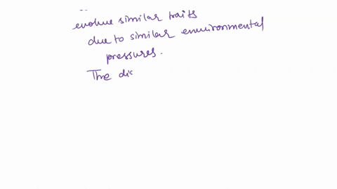 convergent-evolution-when-different-species-evolve-similar-characteristics-due-similar-selection-pressures-tif-true-false-43493