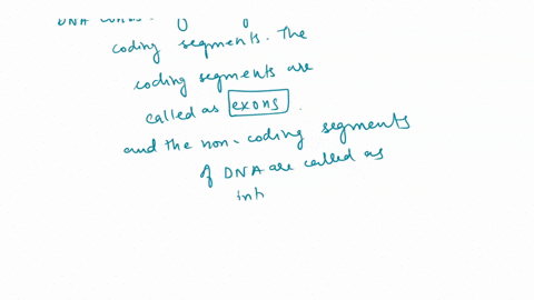 question-10-not-yet-_-answered-marked-out-of-2-flag-question-what-is-a-section-of-dna-that-codes-for-a-protein-called-select-one-plasmid-b-gene-c-chromosome-d-none-of-the-above-e-allel-89056