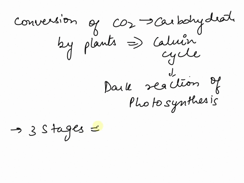 how-many-molecules-of-glucose-are-produced-from-one-cycle-of-the-calvin-cycle-17032