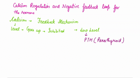 diagram-and-explain-in-detail-calcium-regulation-and-the-negative-feedback-loop-for-the-hormones-be-sure-to-identify-the-effectors-and-the-hormone-that-acts-on-each-effector-make-sure-to-ind-74483