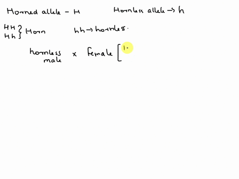 male-beetles-can-either-have-horns-or-lack-horns-females-never-exhibit-horns-horn-development-is-controlled-by-a-single-autosomal-gene-the-horned-allele-h-is-dominant-to-the-hornless-allele-63799