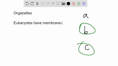 in-which-of-these-structures-would-you-expect-to-find-membrane-bound-organelles-choose-all-that-apply-bacteria-animal-cells-plant-cells-39645