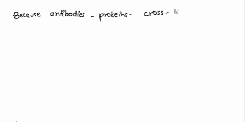 question25-because-antibodies-are-they-are-able-to-cross-link-antigens-25019