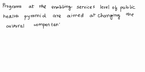 programs-at-the-_______-level-of-the-public-health-pyramid-are-aimed-at-changing-the-cultural-competence-of-the-workforce-and-the-capacity-of-the-workforce-to-address-health-disparities-and-10298