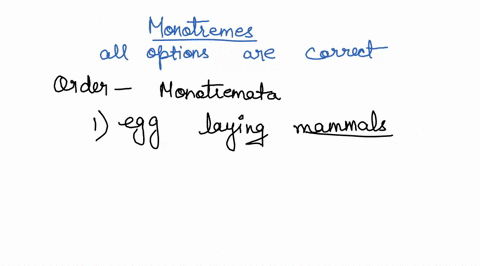 ad-monotremes-are-eg8-laying-mammals-include-the-echidn-spiny-anteaters-and-the-duck-billed-platypus-nurse-their-young-all-of-the-answer-choices-are-correct-67596