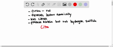 a-clinician-obtains-a-specimen-of-urine-from-a-patient-suspected-to-have-a-bladder-infection-from-the-specimen-she-cultures-a-gram-negative-rod-shaped-bacterium-that-ferments-lactose-in-the-presence-o