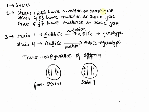 the-table-below-indicates-the-result-of-a-trans-complementation-test-for-mutants-in-petunia-flower-development-how-many-genes-are-represented-in-this-collection-of-mutant-strains-and-which-m-15316