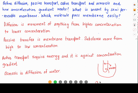 define-the-terms-diffusion-passive-transport-active-transport-and-osmosis-in-each-of-your-definitions-describe-the-role-of-a-concentration-gradient-biological-membranes-are-said-to-be-select-58568