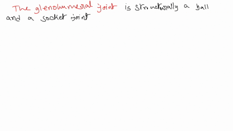 what-are-the-points-of-articulation-between-the-humerus-and-the-scapula-46417