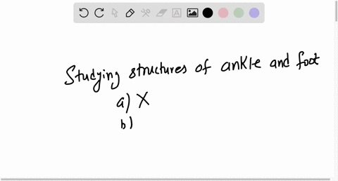 which-of-the-following-specialties-might-focus-on-studying-all-of-the-structures-of-the-ankle-and-foot-a-microscopic-anatomy-b-muscle-anatomy-c-regional-anatomy-d-systemic-anatomy-86863