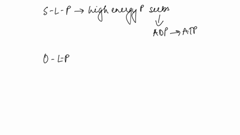 write-3-5-sentences-in-yourown-words-to-answer-the-following-question-explain-substrate-level-phosphorylation-and-oxidative-phosphorylation-where-is-each-type-involved-in-the-biochemical-pal-77747
