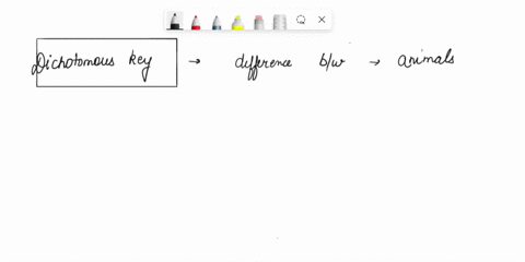 read-the-article-and-use-the-key-to-identify-the-family-of-the-tree-shown-on-the-right-dichotomous-key-the-tree-is-in-the-______-family-93065