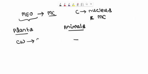 compare-cytokinesis-in-plant-and-animal-cells-in-what-ways-are-the-two-processes-similar-in-what-w-2-69528