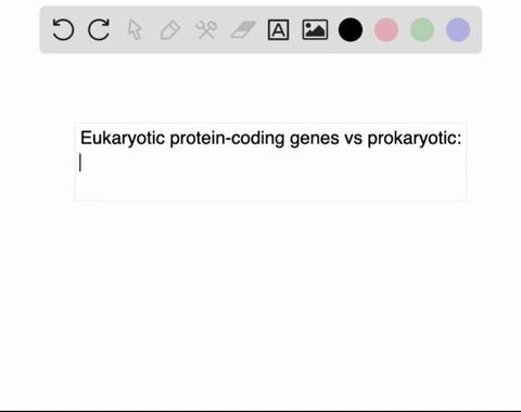 eukaryotic-protein-coding-genes-differ-from-their-prokaryotic-counterparts-in-that-only-eukaryotic-g-37259