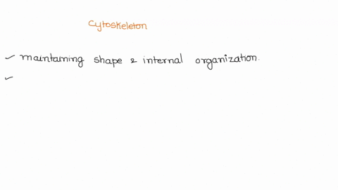 what-is-the-role-of-cytoskeleton-describe-the-different-fibers-that-contribute-to-cytoskeleton-59247