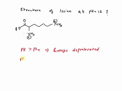 what-will-be-the-major-form-of-lysine-iep-97-at-ph-12-nhz-nhs-58197