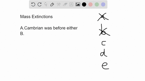 which-of-the-following-is-true-about-the-end-permian-and-end-cretaceous-mass-extinctions-both-mass-extinctions-occurred-before-the-cambrian-explosion-the-proportion-of-species-that-went-exti-43734