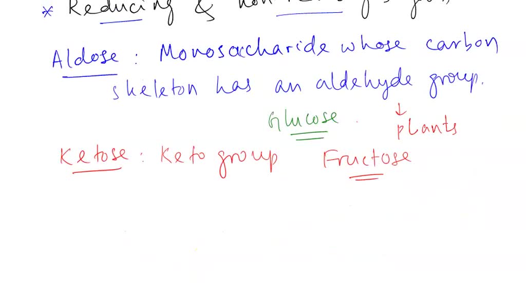SOLVED Discussion questions Explain the differences between the