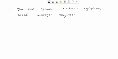 the-rna-species-that-travels-from-the-nucleus-to-the-cytoplasm-carrying-the-coded-message-specifying-95386