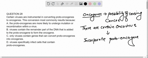question-28-certain-viruses-are-instrumental-in-converting-proto-oncogenes-to-oncogenes-this-conversion-most-commonly-results-because-a-the-proto-oncogenes-are-more-likely-to-undergo-mutatio-26618