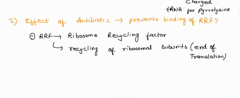 1-selenocysteine-sec-and-pyrrolysing-pyl-the-21st-and-22nd-amino-acids-are-non-native-amino-acids-that-can-be-incorporated-at-stop-codons-which-statement-is-true-regarding-these-amino-acids-61004