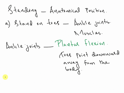 1while-standing-in-the-anatomical-positionperform-the-following-a-stand-on-your-toesin-what-position-does-this-place-your-ankle-jointsand-what-muscles-produced-this-movement-b-stand-on-your-68173