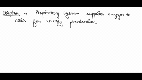 how-does-the-respiratory-system-help-maintain-in-the-body-56328